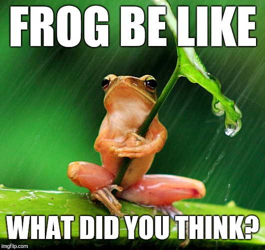 Self explanatory?! | FROG BE LIKE; WHAT DID YOU THINK? | image tagged in drain the swamp,pepe the frog,political meme,kek,rain,angry tree frog | made w/ Imgflip meme maker