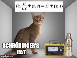 SCHRÖDINGER'S CAT | made w/ Imgflip meme maker