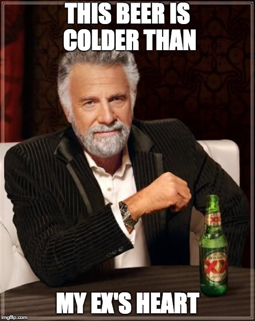 Cold Beer | THIS BEER IS COLDER THAN; MY EX'S HEART | image tagged in memes,the most interesting man in the world | made w/ Imgflip meme maker