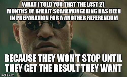 Matrix Morpheus | WHAT I TOLD YOU THAT THE LAST 21 MONTHS OF BREXIT SCAREMONGERING HAS BEEN IN PREPARATION FOR A ANOTHER REFERENDUM; BECAUSE THEY WON'T STOP UNTIL THEY GET THE RESULT THEY WANT | image tagged in memes,matrix morpheus | made w/ Imgflip meme maker