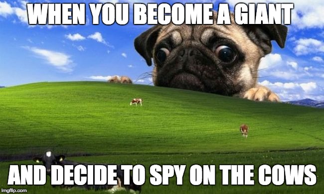 Pug Windows hill | WHEN YOU BECOME A GIANT; AND DECIDE TO SPY ON THE COWS | image tagged in pug windows hill | made w/ Imgflip meme maker
