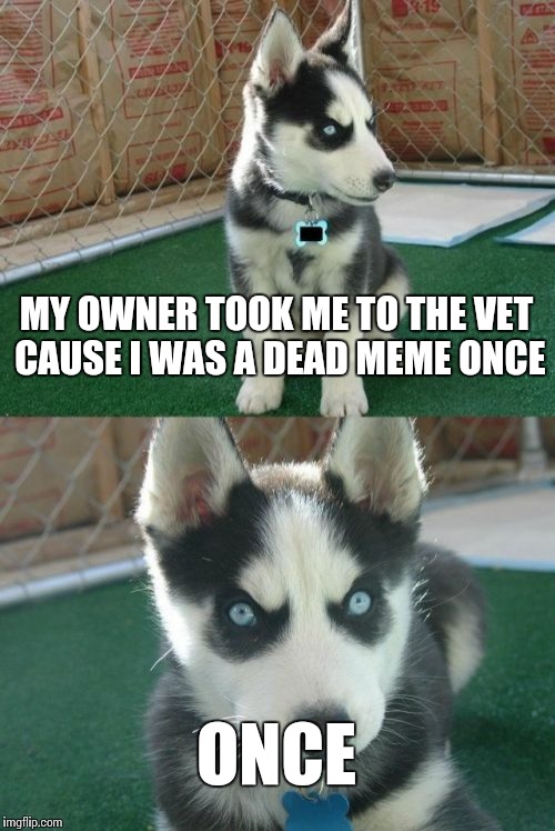 Dead Memes Week March 23-29! |  MY OWNER TOOK ME TO THE VET CAUSE I WAS A DEAD MEME ONCE; ONCE | image tagged in memes,insanity puppy,dead memes week | made w/ Imgflip meme maker