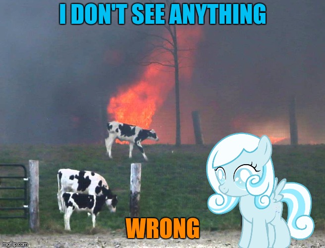I DON'T SEE ANYTHING WRONG | made w/ Imgflip meme maker