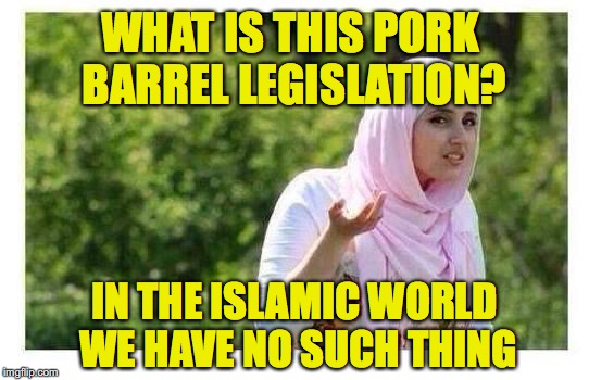 Confused Muslim Girl | WHAT IS THIS PORK BARREL LEGISLATION? IN THE ISLAMIC WORLD WE HAVE NO SUCH THING | image tagged in confused muslim girl,pork,legislation,budget,spending | made w/ Imgflip meme maker