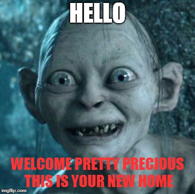 Gollum Meme | HELLO; WELCOME PRETTY PRECIOUS THIS IS YOUR NEW HOME | image tagged in memes,gollum | made w/ Imgflip meme maker