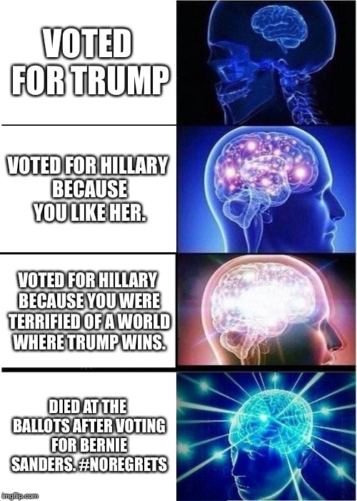 Expanding Brain | VOTED FOR TRUMP; VOTED FOR HILLARY BECAUSE YOU LIKE HER. VOTED FOR HILLARY BECAUSE YOU WERE TERRIFIED OF A WORLD WHERE TRUMP WINS. DIED AT THE BALLOTS AFTER VOTING FOR BERNIE SANDERS.
#NOREGRETS | image tagged in memes,expanding brain | made w/ Imgflip meme maker
