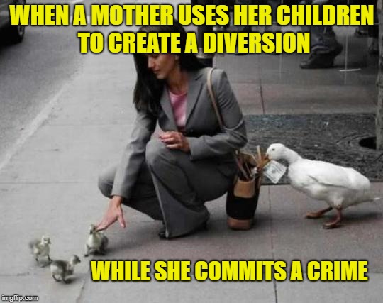 A sad sight indeed... | WHEN A MOTHER USES HER CHILDREN TO CREATE A DIVERSION; WHILE SHE COMMITS A CRIME | image tagged in birds,crime,theft,ducks,memes,jokes | made w/ Imgflip meme maker