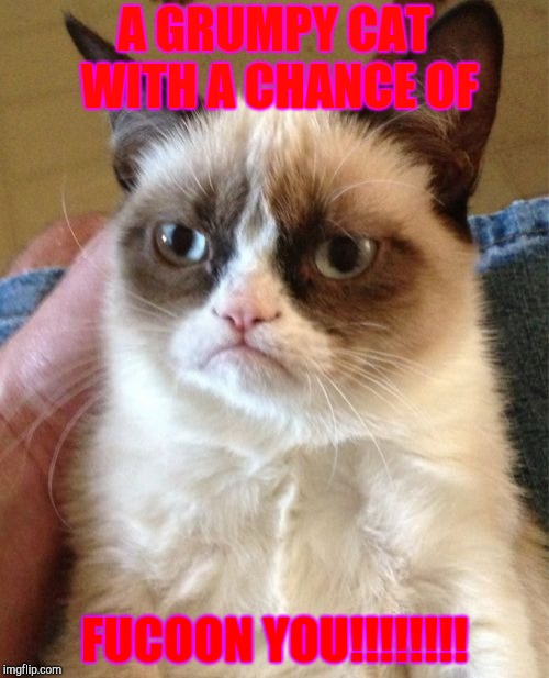 Grumpy Cat Meme | A GRUMPY CAT WITH A CHANCE OF; FUCOON YOU!!!!!!!! | image tagged in memes,grumpy cat | made w/ Imgflip meme maker