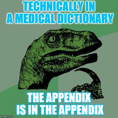 Philosoraptor Meme | TECHNICALLY IN A MEDICAL DICTIONARY; THE APPENDIX IS IN THE APPENDIX | image tagged in memes,philosoraptor | made w/ Imgflip meme maker