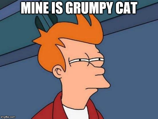 Futurama Fry Meme | MINE IS GRUMPY CAT | image tagged in memes,futurama fry | made w/ Imgflip meme maker