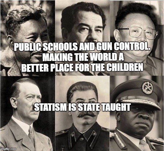 Gun Control | PUBLIC SCHOOLS AND GUN CONTROL. MAKING THE WORLD A BETTER PLACE FOR THE CHILDREN; STATISM IS STATE TAUGHT | image tagged in gun control | made w/ Imgflip meme maker