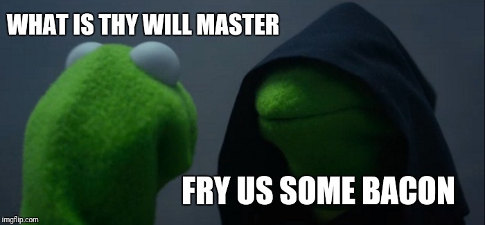 Evil Kermit Meme | WHAT IS THY WILL MASTER; FRY US SOME BACON | image tagged in memes,evil kermit | made w/ Imgflip meme maker