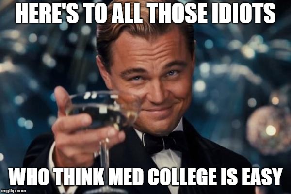 For being medical students, they sure are idiots | HERE'S TO ALL THOSE IDIOTS; WHO THINK MED COLLEGE IS EASY | image tagged in memes,leonardo dicaprio cheers,medical,studying,study,reality | made w/ Imgflip meme maker