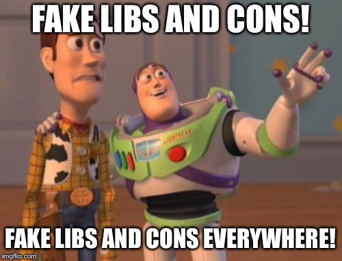 X, X Everywhere | FAKE LIBS AND CONS! FAKE LIBS AND CONS EVERYWHERE! | image tagged in memes,x x everywhere | made w/ Imgflip meme maker