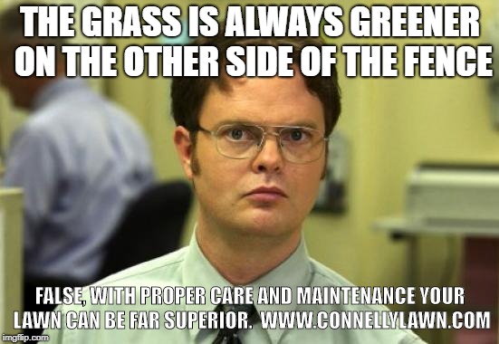 Dwight Schrute Meme | THE GRASS IS ALWAYS GREENER ON THE OTHER SIDE OF THE FENCE; FALSE, WITH PROPER CARE AND MAINTENANCE YOUR LAWN CAN BE FAR SUPERIOR.  WWW.CONNELLYLAWN.COM | image tagged in memes,dwight schrute | made w/ Imgflip meme maker