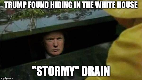 Trump's STORMY drain | TRUMP FOUND HIDING IN THE WHITE HOUSE; "STORMY" DRAIN | image tagged in trump,stormy daniels,hiding | made w/ Imgflip meme maker