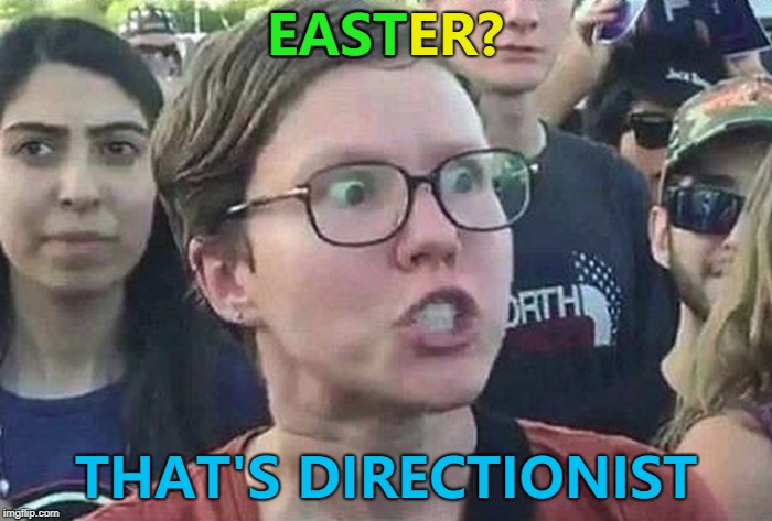 Where's Wester, Norther and Souther? :) | EAST; EASTER? THAT'S DIRECTIONIST | image tagged in triggered liberal,memes,easter | made w/ Imgflip meme maker