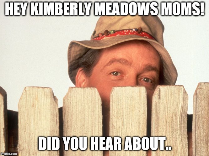 Wilson Home Improvement | HEY KIMBERLY MEADOWS MOMS! DID YOU HEAR ABOUT.. | image tagged in wilson home improvement | made w/ Imgflip meme maker