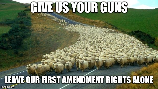 sheep | GIVE US YOUR GUNS; LEAVE OUR FIRST AMENDMENT RIGHTS ALONE | image tagged in sheep | made w/ Imgflip meme maker