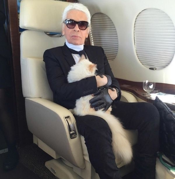 High Quality Lagerfeld Plane Blank Meme Template