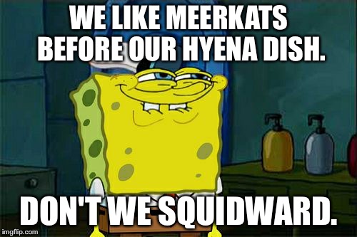 Don't You Squidward Meme | WE LIKE MEERKATS BEFORE OUR HYENA DISH. DON'T WE SQUIDWARD. | image tagged in memes,dont you squidward | made w/ Imgflip meme maker