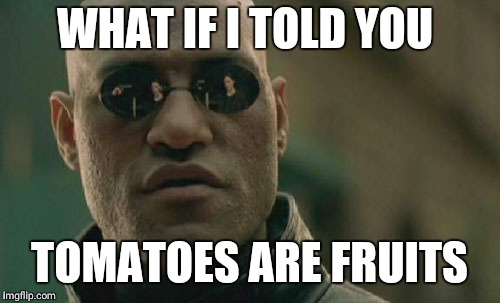 Matrix Morpheus | WHAT IF I TOLD YOU; TOMATOES ARE FRUITS | image tagged in memes,matrix morpheus | made w/ Imgflip meme maker