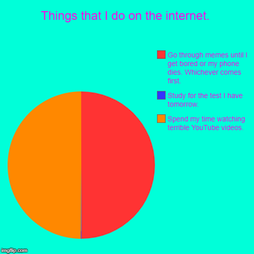 Things that I do on the internet. | Spend my time watching terrible YouTube videos. , Study for the test I have tomorrow., Go through memes  | image tagged in funny,pie charts | made w/ Imgflip chart maker