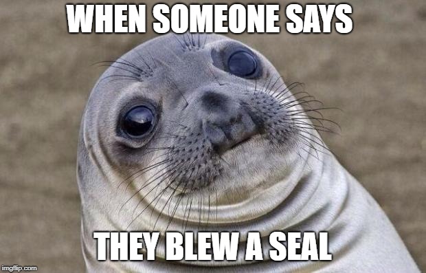 Awkward Moment Sealion Meme | WHEN SOMEONE SAYS; THEY BLEW A SEAL | image tagged in memes,awkward moment sealion | made w/ Imgflip meme maker