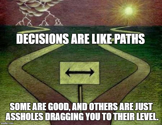 Two paths  | DECISIONS ARE LIKE PATHS; SOME ARE GOOD, AND OTHERS ARE JUST ASSHOLES DRAGGING YOU TO THEIR LEVEL. | image tagged in two paths | made w/ Imgflip meme maker