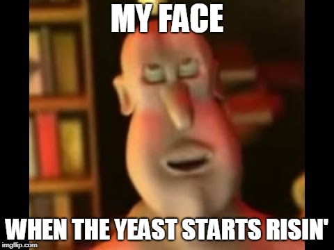 Thots + minds = mindsauce | MY FACE; WHEN THE YEAST STARTS RISIN' | image tagged in glob,globgogabgalab,dank memes,weed,offensive | made w/ Imgflip meme maker