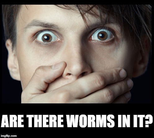 oh my | ARE THERE WORMS IN IT? | image tagged in oh my | made w/ Imgflip meme maker