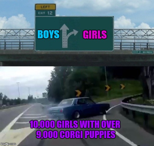 How can there be so many girls and dogs in a car? XD | BOYS; GIRLS; 10,000 GIRLS WITH OVER 9,000 CORGI PUPPIES | image tagged in left exit 12 off ramp,dogs,corgi,girls,boys,puppies | made w/ Imgflip meme maker
