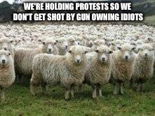 Sheep | WE'RE HOLDING PROTESTS SO WE DON'T GET SHOT BY GUN OWNING IDIOTS | image tagged in sheep,sheeple,anti gun | made w/ Imgflip meme maker