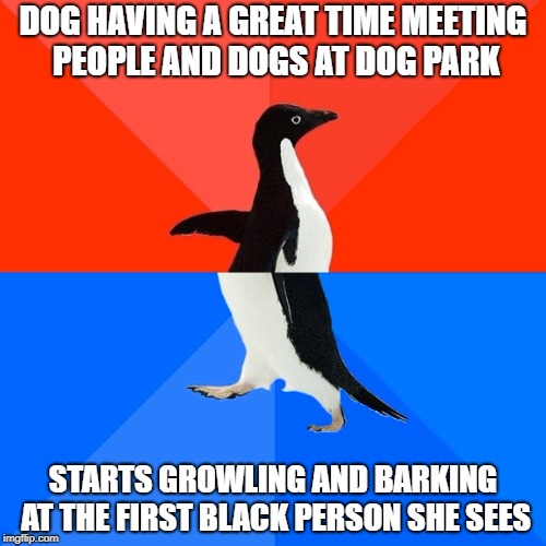 Socially Awesome Awkward Penguin | DOG HAVING A GREAT TIME MEETING PEOPLE AND DOGS AT DOG PARK; STARTS GROWLING AND BARKING AT THE FIRST BLACK PERSON SHE SEES | image tagged in memes,socially awesome awkward penguin,AdviceAnimals | made w/ Imgflip meme maker