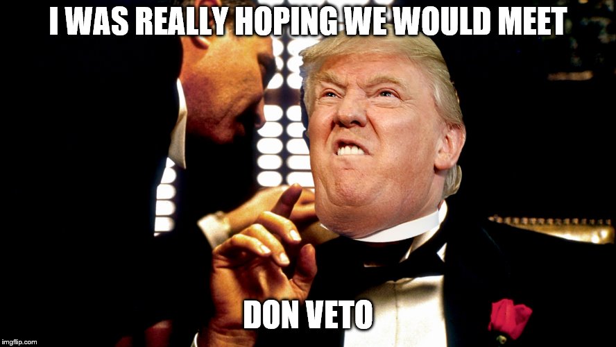 I WAS REALLY HOPING WE WOULD MEET DON VETO | made w/ Imgflip meme maker