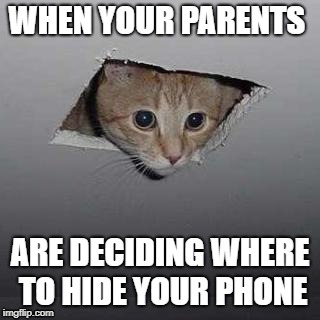 Ceiling Cat | WHEN YOUR PARENTS; ARE DECIDING WHERE TO HIDE YOUR PHONE | image tagged in memes,ceiling cat | made w/ Imgflip meme maker