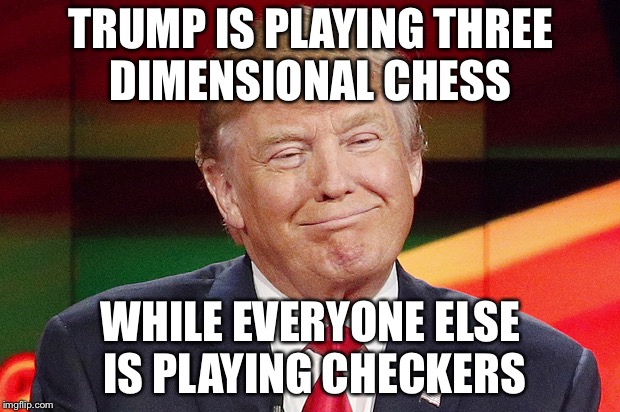 Donal Trump Face | TRUMP IS PLAYING THREE DIMENSIONAL CHESS; WHILE EVERYONE ELSE IS PLAYING CHECKERS | image tagged in donal trump face | made w/ Imgflip meme maker