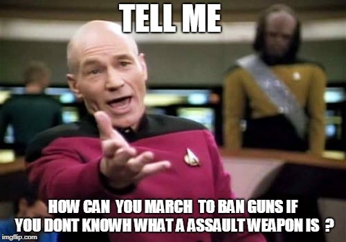 we all knowh the march isnt  to ban guns only
 also  its another anti trump march | TELL ME; HOW CAN  YOU MARCH  TO BAN GUNS IF YOU DONT KNOWH WHAT A ASSAULT WEAPON IS  ? | image tagged in memes,picard wtf | made w/ Imgflip meme maker