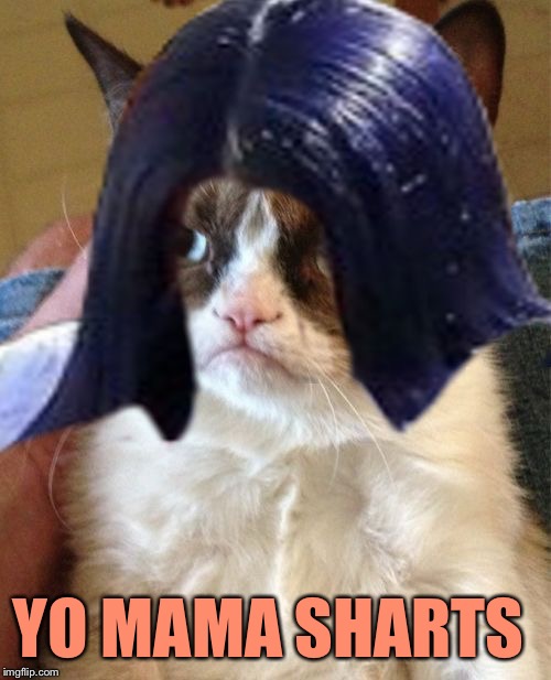 Grumpy Mima | YO MAMA SHARTS | image tagged in grumpy mima | made w/ Imgflip meme maker