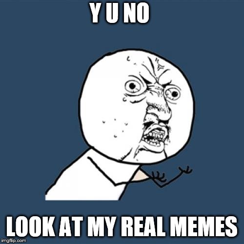 Y U No Meme | Y U NO LOOK AT MY REAL MEMES | image tagged in memes,y u no | made w/ Imgflip meme maker