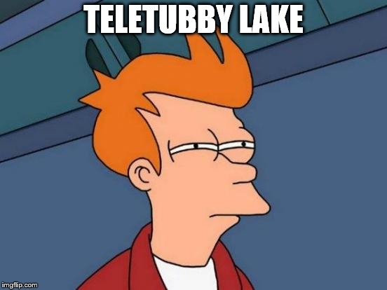 Futurama Fry Meme | TELETUBBY LAKE | image tagged in memes,futurama fry | made w/ Imgflip meme maker