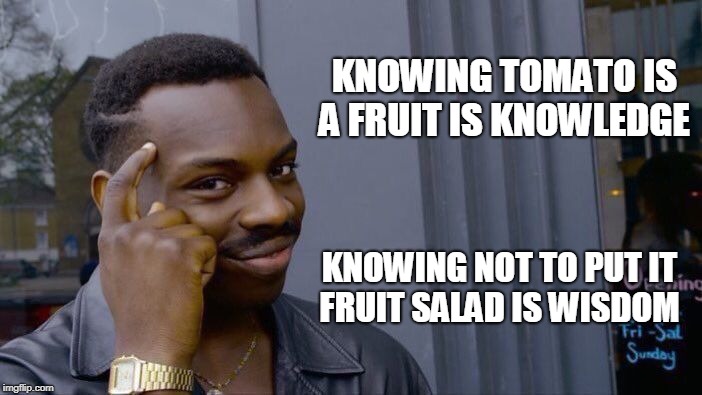 Roll Safe Think About It Meme | KNOWING TOMATO IS A FRUIT IS KNOWLEDGE KNOWING NOT TO PUT IT FRUIT SALAD IS WISDOM | image tagged in memes,roll safe think about it | made w/ Imgflip meme maker