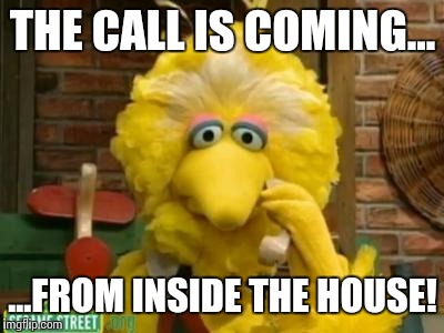 THE CALL IS COMING... ...FROM INSIDE THE HOUSE! | image tagged in big bird phone | made w/ Imgflip meme maker