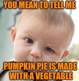 Skeptical Baby Meme | YOU MEAN TO TELL ME PUMPKIN PIE IS MADE WITH A VEGETABLE | image tagged in memes,skeptical baby | made w/ Imgflip meme maker