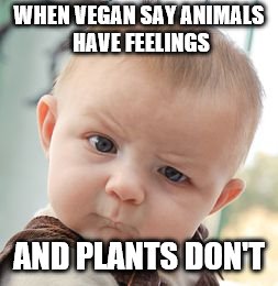Skeptical Baby Meme | WHEN VEGAN SAY ANIMALS HAVE FEELINGS; AND PLANTS DON'T | image tagged in memes,skeptical baby | made w/ Imgflip meme maker