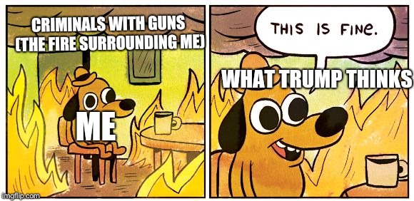 This Is Fine Meme | CRIMINALS WITH GUNS (THE FIRE SURROUNDING ME); WHAT TRUMP THINKS; ME | image tagged in this is fine dog | made w/ Imgflip meme maker
