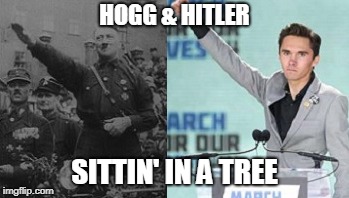 HOGG & HITLER; SITTIN' IN A TREE | image tagged in david hogg | made w/ Imgflip meme maker