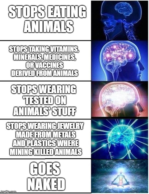 The Five Stages of Vegan. What stage are you at? | STOPS EATING ANIMALS; STOPS TAKING VITAMINS, MINERALS, MEDICINES, OR VACCINES DERIVED FROM ANIMALS; STOPS WEARING 'TESTED ON ANIMALS' STUFF; STOPS WEARING JEWELRY MADE FROM METALS AND PLASTICS WHERE MINING KILLED ANIMALS; GOES NAKED | image tagged in expanding brain 5 panel,vegan,go vegan,vegans | made w/ Imgflip meme maker