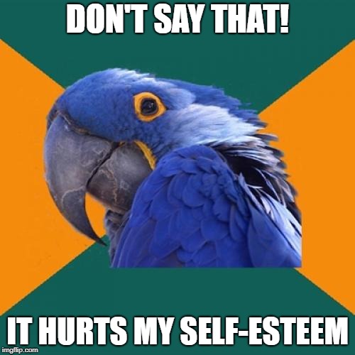 Paranoid Parrot Meme | DON'T SAY THAT! IT HURTS MY SELF-ESTEEM | image tagged in memes,paranoid parrot | made w/ Imgflip meme maker