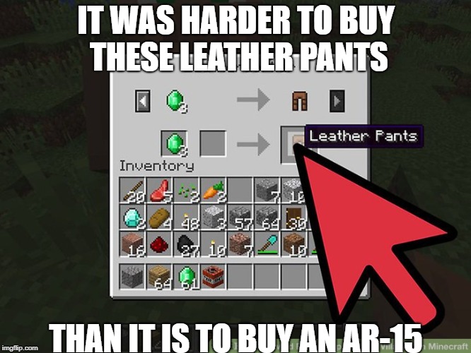 Gun Control Now! Harder to Buy Than An AR-15 | IT WAS HARDER TO BUY THESE LEATHER PANTS; THAN IT IS TO BUY AN AR-15 | image tagged in minecraft,ar-15,shootings,loophole,gun control | made w/ Imgflip meme maker